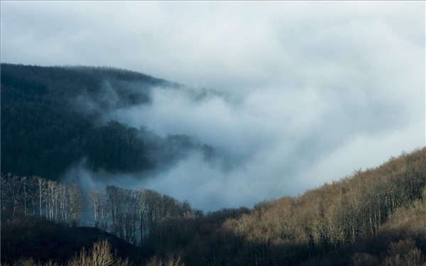 Ismét sűrű ködre figyelmeztet a meteorológiai szolgálat