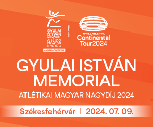 Gyulalai memorial 300x250
