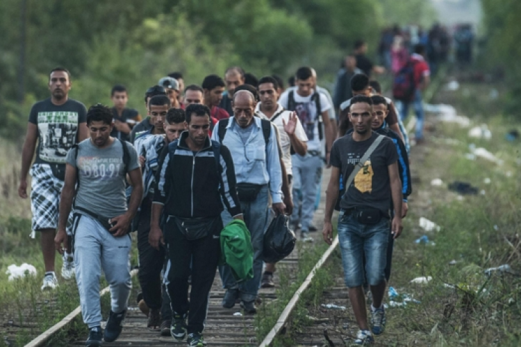 Könnygázt vetettek be a röszkei hangárnál a menekültekkel szemben