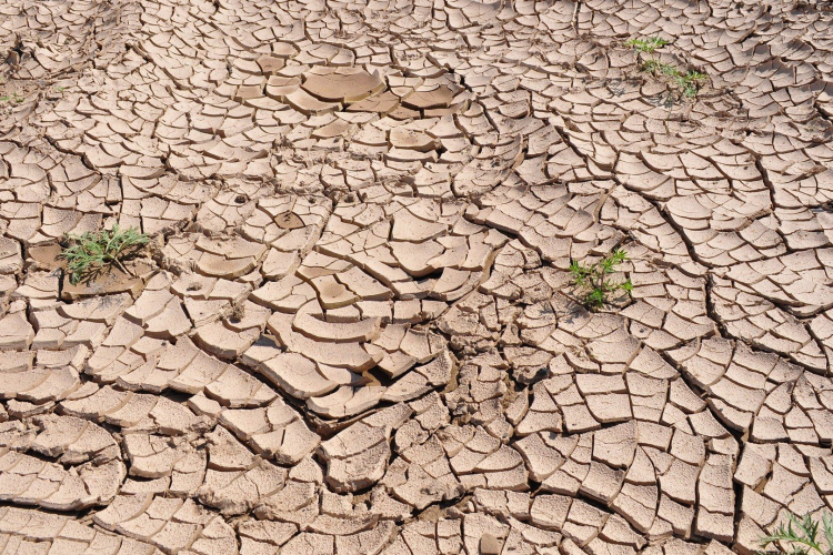 Agrometeorológia: az Alföldön csak lassan mérséklődik az aszály