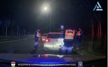 KÖZÚTI ELLENŐRZÉSBŐL BŰNCSELEKMÉNY