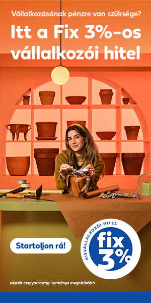 3 sz fazekas 300x600